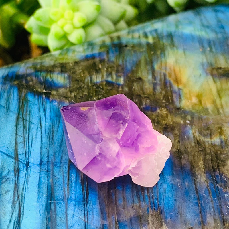 Amethyst Fairy Cluster - clustergeode