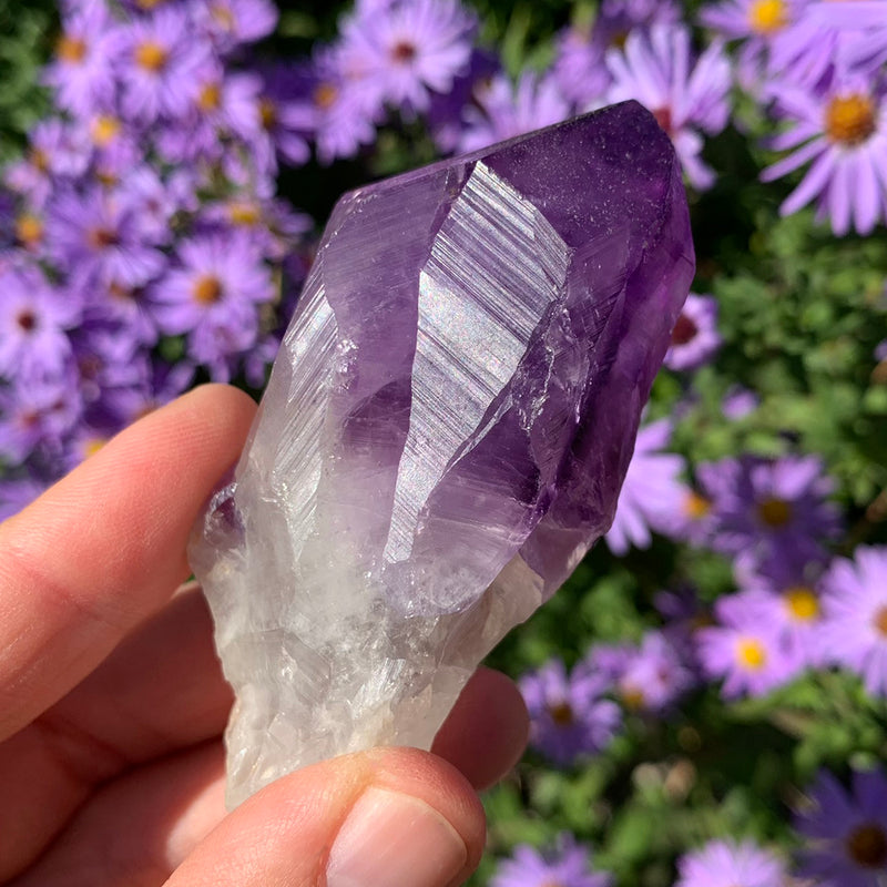 Dark Amethyst Crystal Shard (Medium)