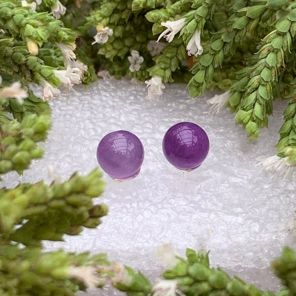 Earrings - Amethyst Studs