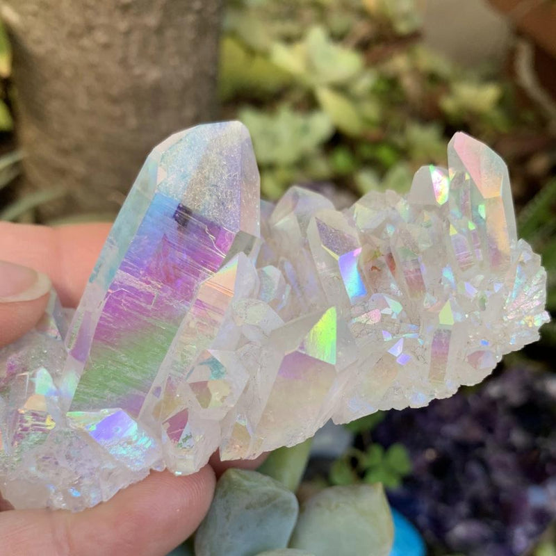 Angel Aura Cluster - clustergeode