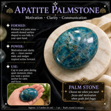 Apatite Palmstone