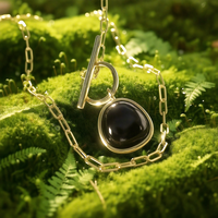 Black Onyx & Gold Lunar Lock Necklace