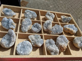 Celestite Geode Cluster - clustergeode