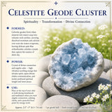 One Crystal Collectors Kit to Rule Them All (Over 1000 Crystals!)