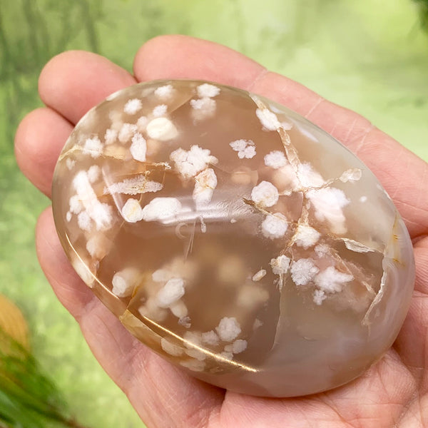 Cherry Flower Blossom Agate Palmstone