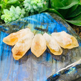 Citrine Shards (Small)