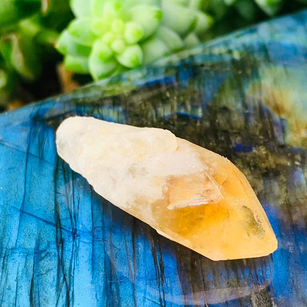 Citrine Shards (Small)