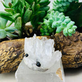 Crystal Quartz Hedgehog Pet (ADOPT ME PLEASE) 🥰