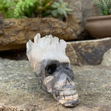 Crystal Shard Skull