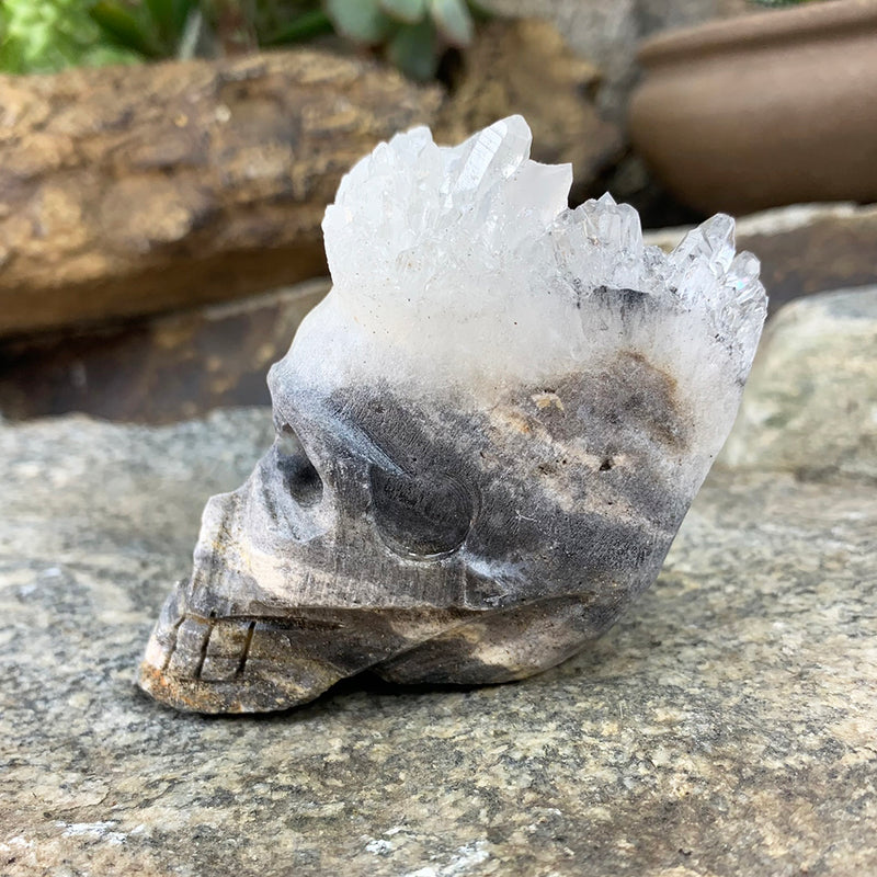 Crystal Shard Skull