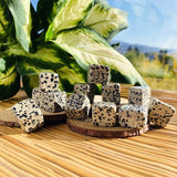 Dalmation Jasper Tumbled Stone Set of 12 - tumbledstone