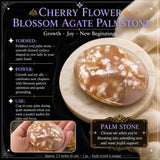 Flor de cerezoBlossom Agate Palmstone