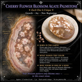Flor de cerezoBlossom Agate Palmstone