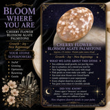 Flor de cerezoBlossom Agate Palmstone