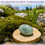 Flerfarvet Fluorit tumlet Ellipse