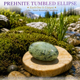 Ellisse burattata di prehnite