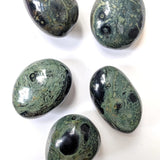 Kambaba Jasper Palmstone - palmstone