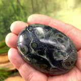 Kambaba Jasper Palmstone