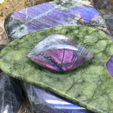Crystal Allies Kit - 8 Powerful Specimens (FLASH SALE 82% OFF)