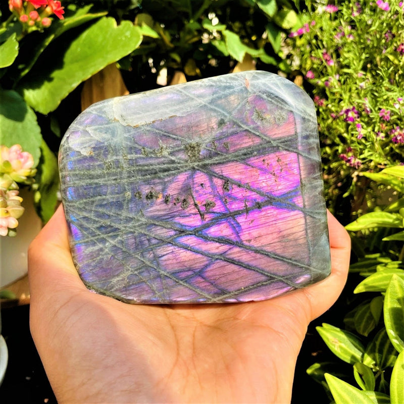 Large (1.28 lbs.) Purple Flash Labradorite Freeform (Item #0087)