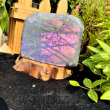 Large (1.28 lbs.) Purple Flash Labradorite Freeform (Item #0087)