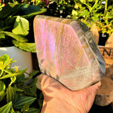 Large (2.20 lbs.) Purple Flash Labradorite Freeform (Item #0081)