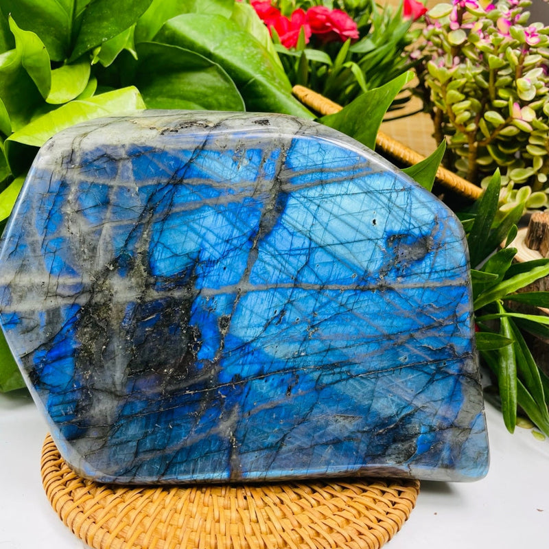 Large (5.49 lbs.) Labradorite Freeform (Item #0022)