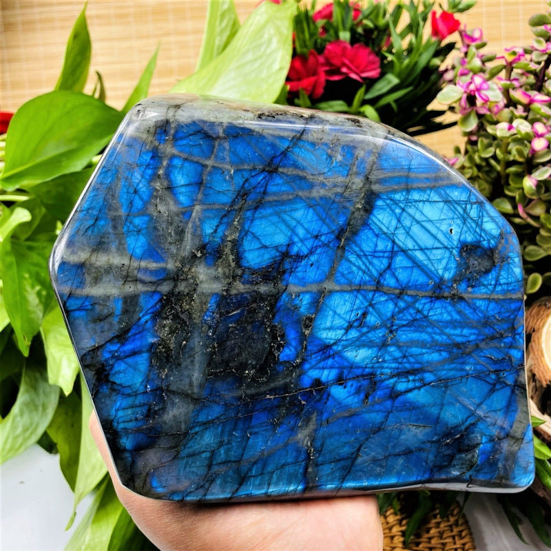 Large (5.49 lbs.) Labradorite Freeform (Item #0022)