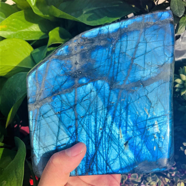 Large (6.4 lbs.) Labradorite Freeform (Item #0026)