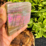 Large (.75 lbs.) Purple Flash Labradorite Freeform (Item #0092)