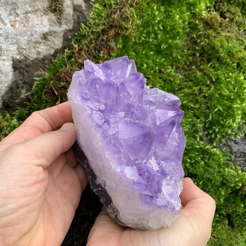 Large Specimen Amethyst Cluster - clustergeode