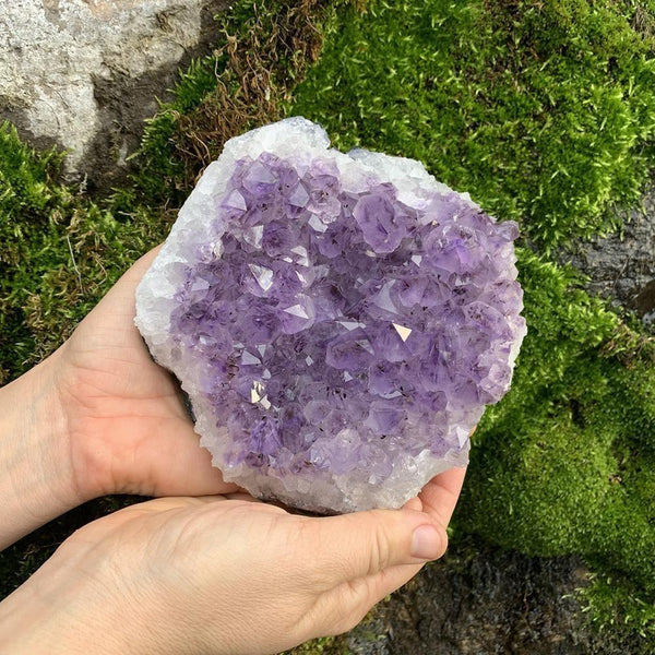 Large Specimen Amethyst Cluster - clustergeode