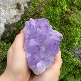 Large Specimen Amethyst Cluster - clustergeode