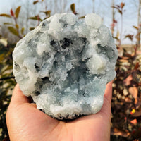 Larger Celestite Clusters (Item #0040)