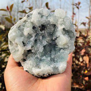 Larger Celestite Clusters (Item #0040)