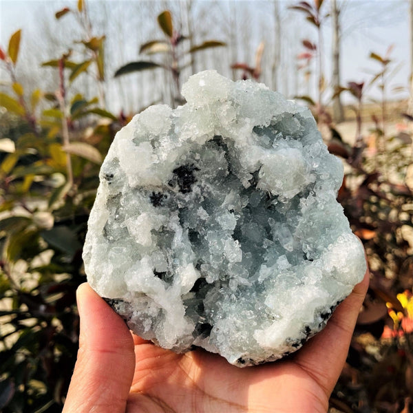 Larger Celestite Clusters (Item #0040)