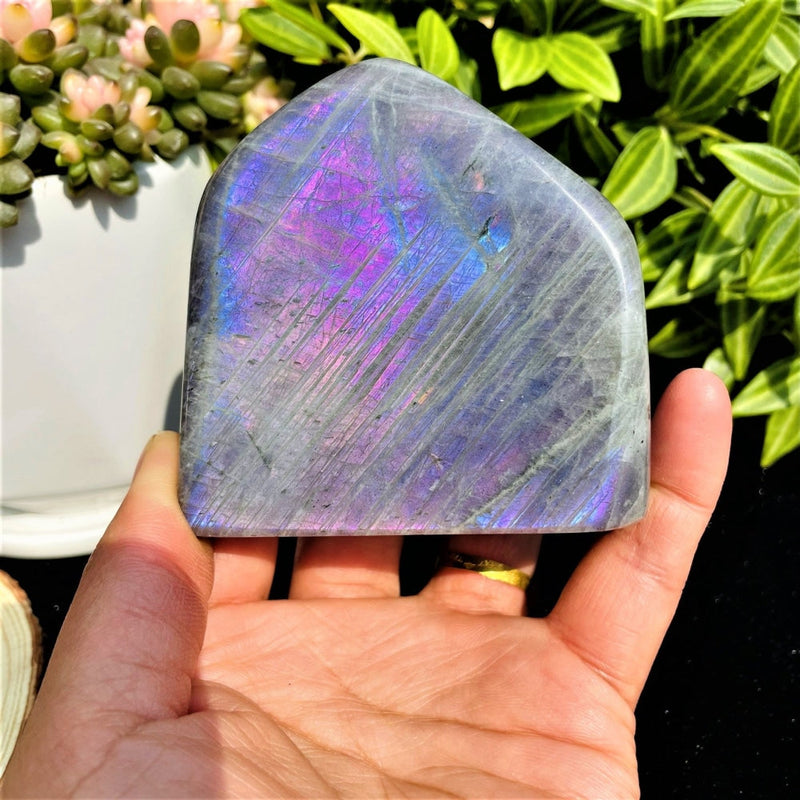 Large Purple Flash Labradorite Freeform (Item #0086)