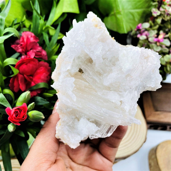 Large Selenite Cluster (Item #0044)