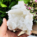 Large Selenite Cluster (Item #0044)