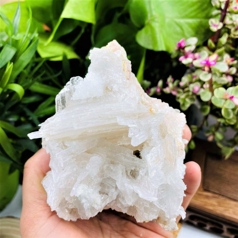 Large Selenite Cluster (Item #0044)