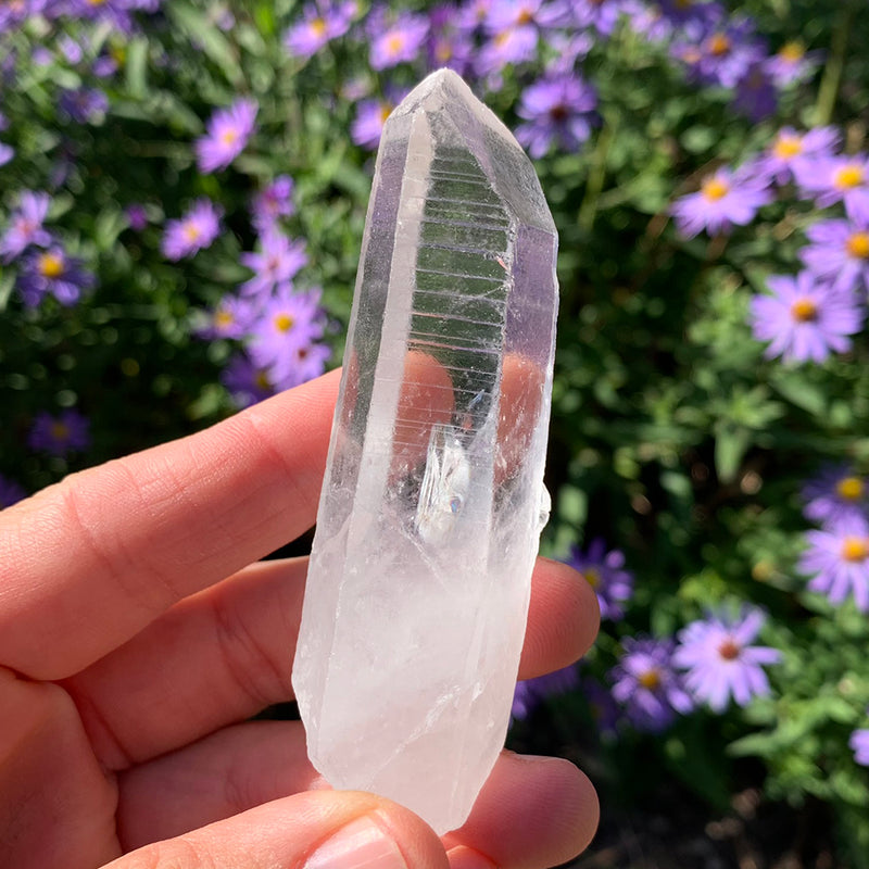 Crystal Allies Kit - 8 Powerful Specimens (FLASH SALE 82% OFF)