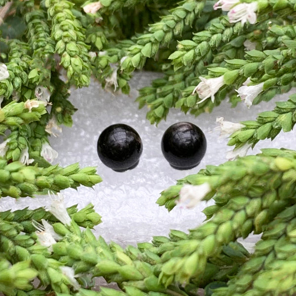 Earrings - Obsidian Studs