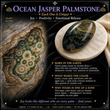 60% di sconto Ocean Jasper Palmstone Palmstone Solo 1 giorno