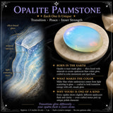 Zažgite Palmstone