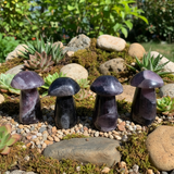 Purple Fluorite Mushroom