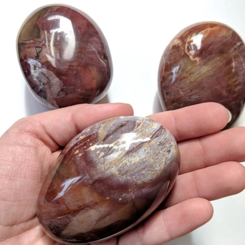 Petrified Wood Palmstone - palmstone