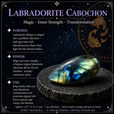 ♓ Pesci - 19 febbraio - 20 marzo - Set Zodiac Crystal Fusion con custodia