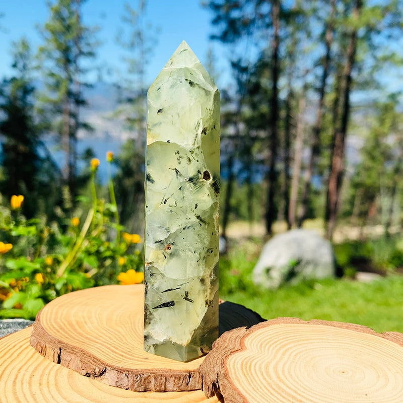 Prehnite With Black Tourmaline Wand - wand