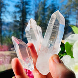 Lemurian Seed Crystal "Memory Quartz"