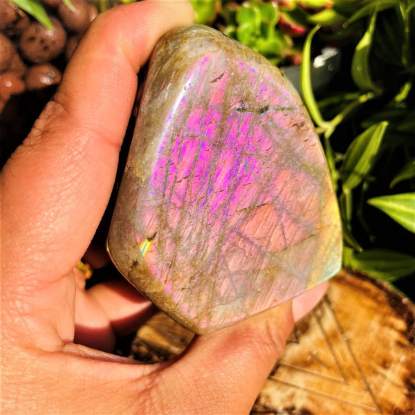 Large Purple Flash Labradorite Freeform (Item #0098)